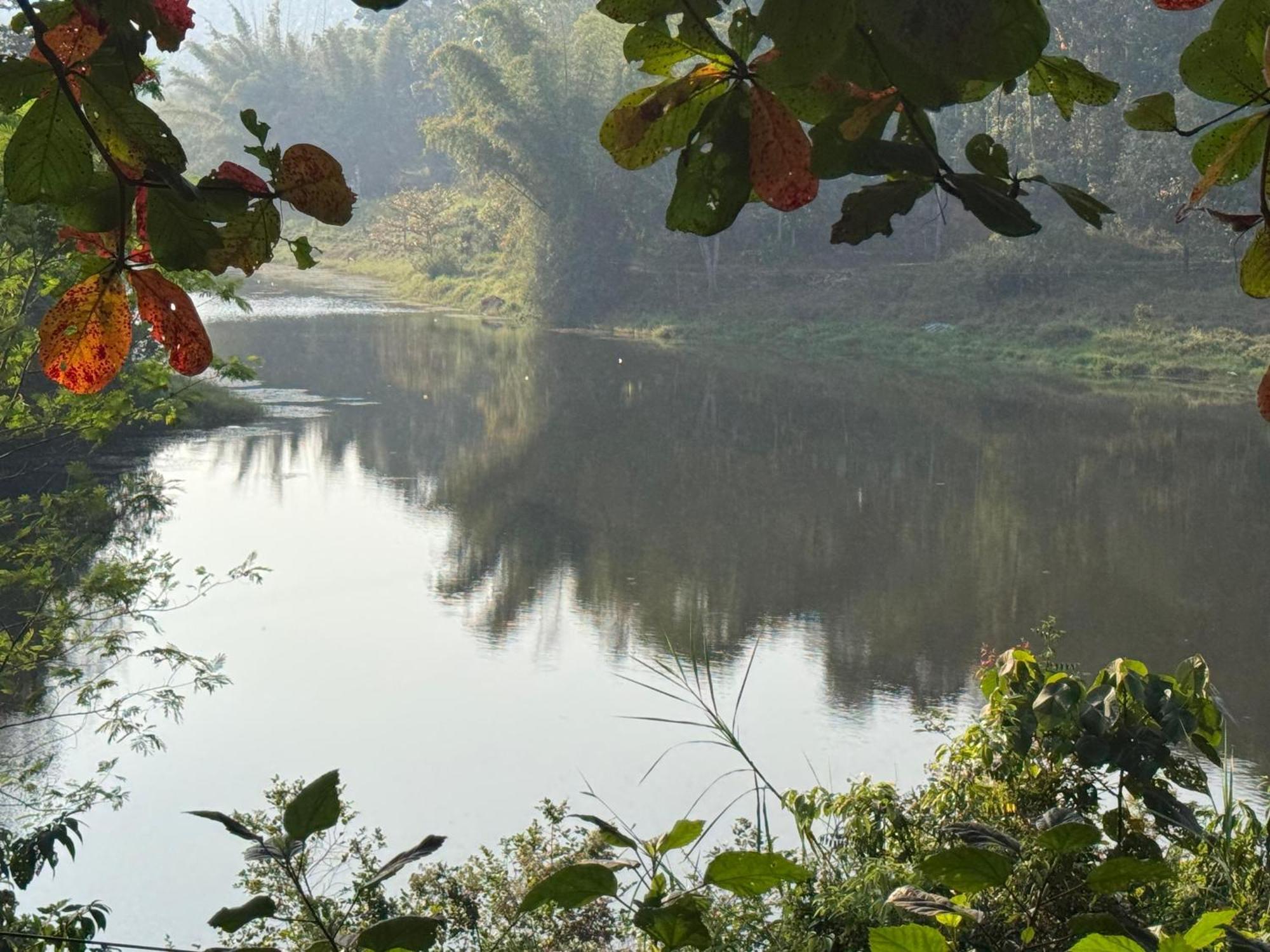 Ashramam Health Resort Kattappana Dış mekan fotoğraf